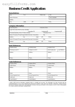 Printable Business Credit Application Form