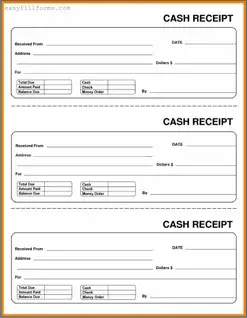 Printable Cash Receipt Form